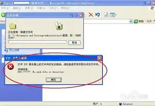 FTP服务器文件夹空，深入剖析原因及解决方案，ftp服务器打开文件夹为空