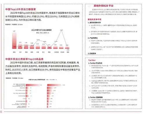 揭秘2024年SEO优化策略，如何让你的网站在搜索引擎中脱颖而出，seo语言