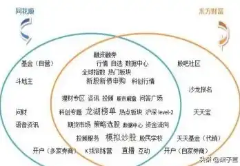 网站与站点的差异解析，从概念到实际应用，网站和站点的区别和联系