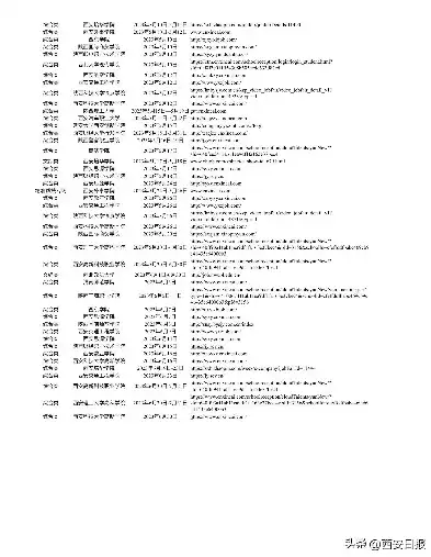 西安SEO人才热招中！全方位解析SEO职位要求与职业发展，西安招聘信息最新招聘2024