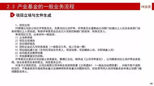 深度解析，专业网站建设的关键要素与成功案例分享，专业网站建设公司