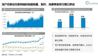 揭秘SEO分析行业地位，助力企业在线营销的新宠儿，seo分析行业地位的方法