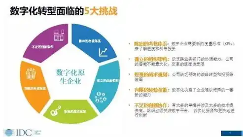 国外数据安全态势分析，挑战与应对策略探讨，根据本讲关于数据安全国外有哪些态势