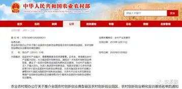 安溪网站建设，打造本地企业线上新名片，助力品牌腾飞，安溪网站建设招标公告