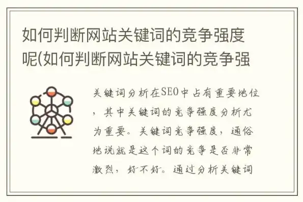 探寻关键词的类别，揭示信息世界的奥秘，关键词的类别包括