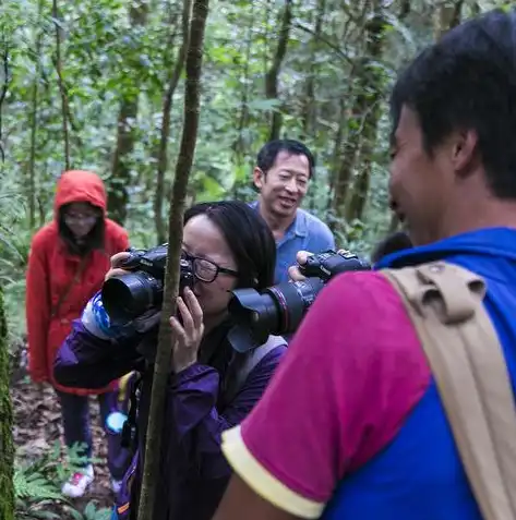 轻松开启免费建站之旅，全方位解析免费网站搭建指南，免费建网站的