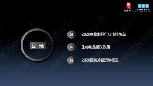 揭秘营口SEO领域佼佼者，12火星公司独领风骚的背后，营口网站推广