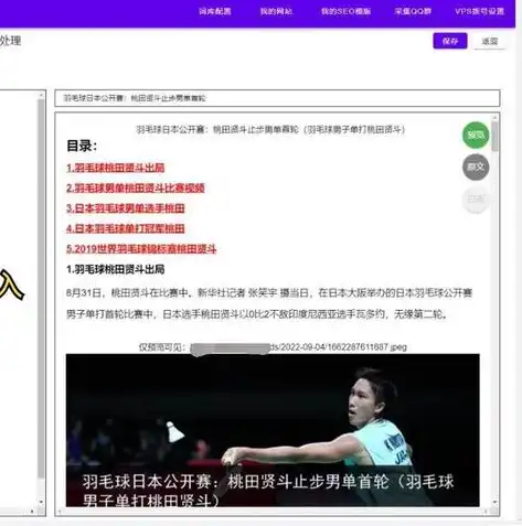 深度解析Zblog SEO，提升网站排名的五大策略，zblogseo设置插件