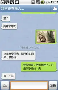 揭秘免费微信网站源码，轻松打造个性化微信营销平台，免费微信网站源码是什么