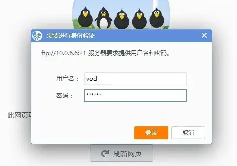 轻松登录FTP服务器，揭秘用户名与密码的神奇之旅，要登录到该ftp服务器 请键入用户名和密码怎么办