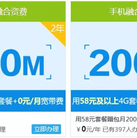 深度解析，100M服务器租用的优势与选择要点，100m服务器多少钱