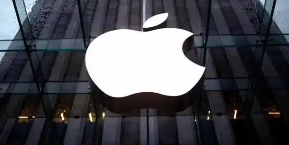 深入剖析，苹果公司数据与隐私获取策略解析，数据和隐私apple