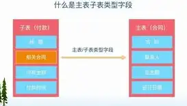 深度解析，网站源码哪个好？全面对比各大热门源码，助您选择最佳方案！，有用的网站源码