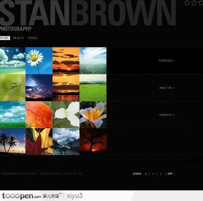 摄影盛宴，深度解析摄影作品展示网站flash全站源码的奥秘，简单的个人摄影网页制作源码