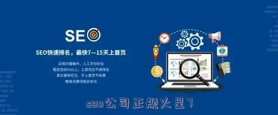 揭秘钦州SEO领域翘楚——24火星公司如何引领行业潮流