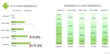 关键词报告排名的准确性分析，揭秘SEO排名背后的真相，关键词排名报表