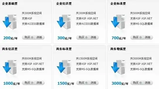 揭秘网站服务器空间费用，影响因素与优化策略，网站服务器空间费用高吗