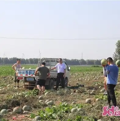 东明网站建设，打造个性化品牌形象，助力企业腾飞，东明网站建设公司