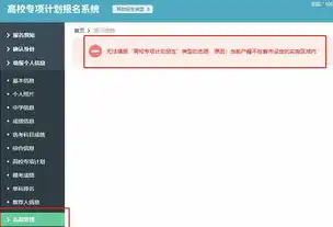 打造专业网站设计的秘诀，从规划到实施的全方位解析，专业的网站设计服务公司