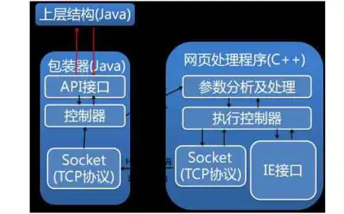 深入解析政府网站源码下载，掌握核心代码，助力信息时代发展，政府网站源码下载