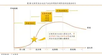 揭秘合肥SEO公司，如何助力企业网站排名攀升，抢占市场份额，合肥排名seo公司