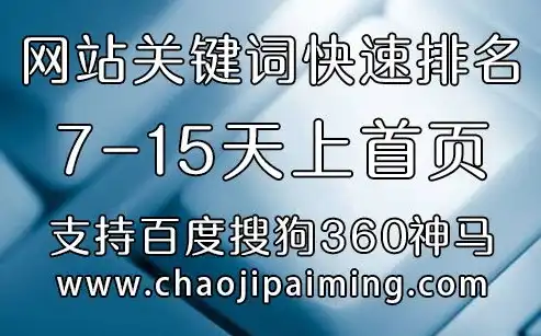 深入解析，如何有效提升大连关键词排名策略及技巧，大连关键词快速排名