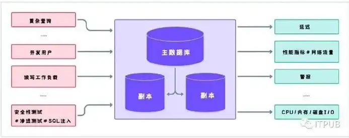 深度解析，如何选择适合您的数据库服务器——全面指南，选择数据库服务器需要注意什么