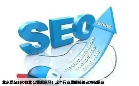 揭秘行业翘楚，揭秘国内SEO公司哪家实力最强，助您网站脱颖而出！，seo的公司哪家好些