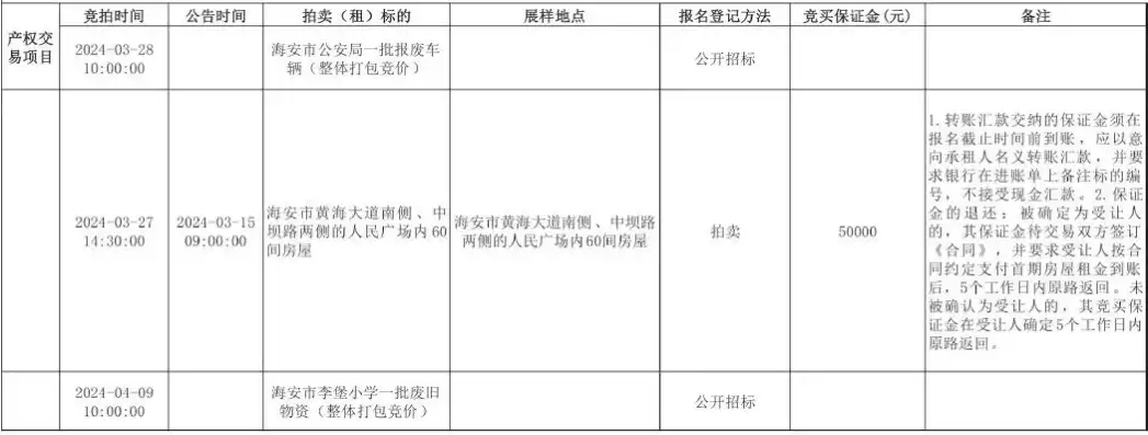 海安网站建设，打造专业、高效的在线平台，助力企业腾飞，海安网站建设招标公告