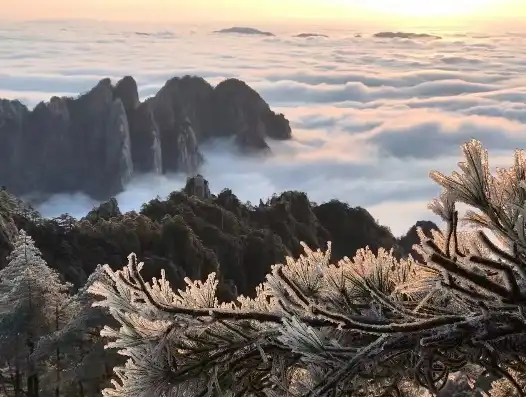 黄山，大自然的杰作，探寻历史与现代交融的神秘仙境，外网黄山网站