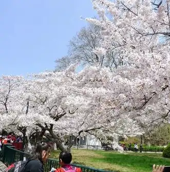 杭州市民公园及公共配套基础设施项目设计，绿色生态与人文艺术的完美融合，杭州市民公园及公共配套基础设施项目设计招标