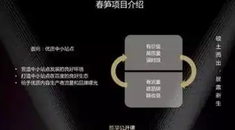 揭秘南京SEO熊掌号，助力企业快速提升在线曝光与流量，南京网站seo