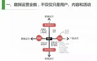 SEO优化效果显现周期揭秘，揭秘优化生效时间与影响因素，seo 优化一个月费用