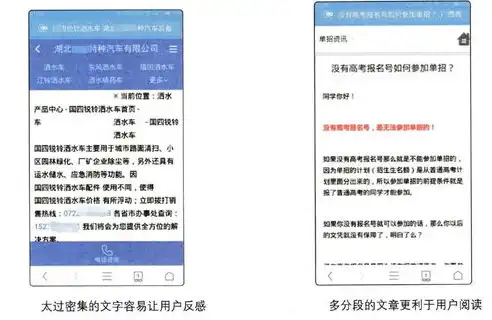 移动优化在SEO中的应用策略，提升移动端搜索排名的秘籍，移动优化网络公司哪家好