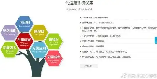 福建网站优化，全方位策略助您提升网站排名与用户体验，福州网站优化公司