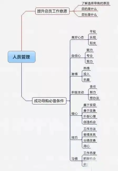 SEO引蜘蛛的重要性，如何提高网站流量与排名