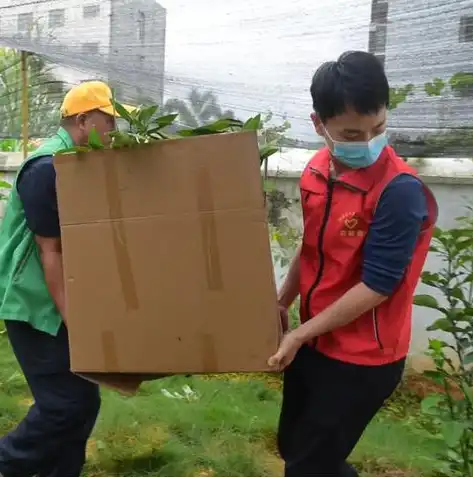 和县网站建设，打造专业、特色鲜明的县域门户，和县网站建设公司