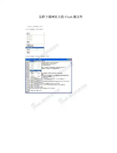 免费获取Flash网站源码，揭秘获取途径与注意事项，flash 源码 下载