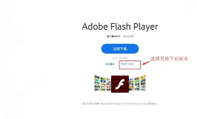 免费获取Flash网站源码，揭秘获取途径与注意事项，flash 源码 下载