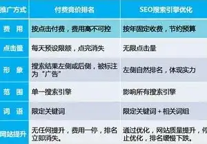 SEO开户费用解析，深入了解不同类型SEO开户的价格与价值，seo推广网站开户费用