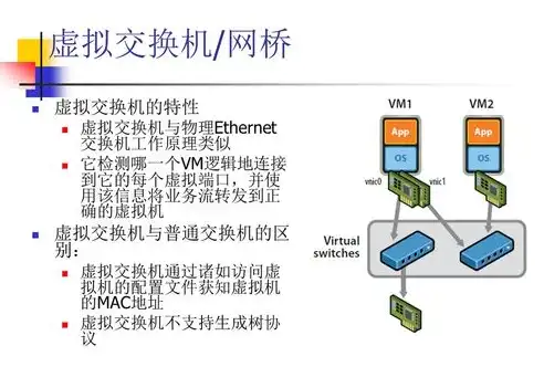 深入解析云计算中的虚拟化技术，原理、应用与优势，云计算中虚拟化指的是什么内容