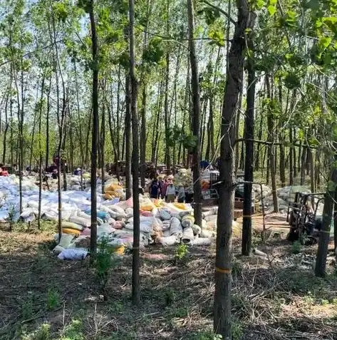 灾后重建，全面规划，重塑家园——XX地区灾后恢复重建实施方案，灾后恢复重建实施方案范文