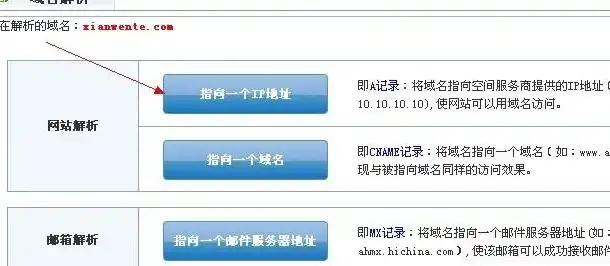 深入解析网站域名查询，了解域名背后的奥秘，网站域名查询ip地址