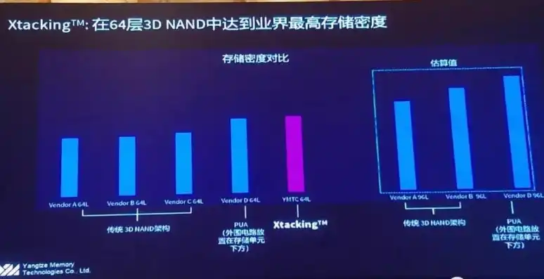 揭秘存储芯片行业的领军者，三星电子如何领跑全球市场，存储芯片的龙头企业是