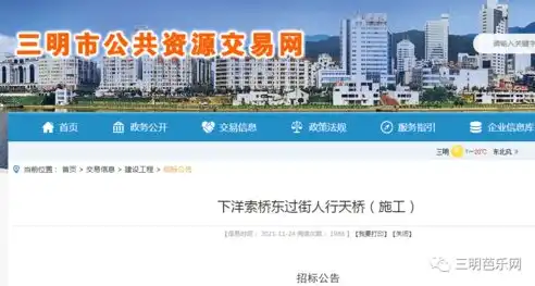 阳谷网站建设，助力企业腾飞的网络新篇章，阳谷网站建设项目招标