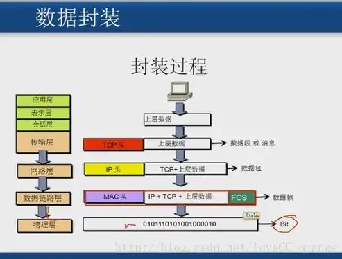 计算机网络实验一，TCP/IP协议栈基础实验报告，计算机网络实验报告1