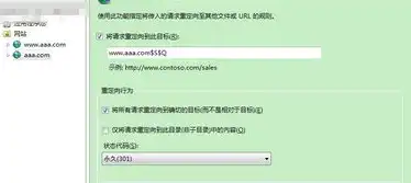 深入解析IIS服务器301重定向实现方法，高效优化网站SEO与用户体验，iis 301重定向