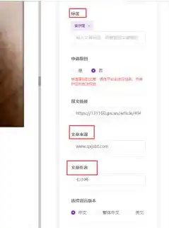 SEO关键词设置全攻略，如何精准定位，提升网站排名，如何设置seo关键词权限