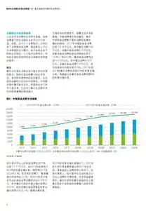 互联网公司服务器的核心价值与未来发展展望，互联网公司服务器成本