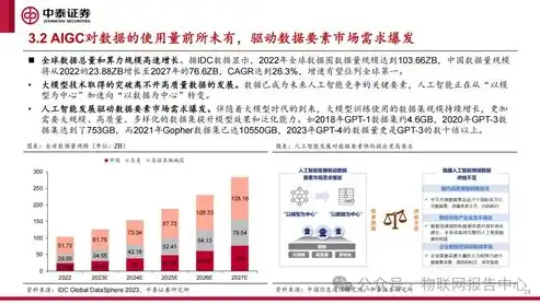 数据保护官制度，构建数字时代隐私安全新框架，数据保护官的职责